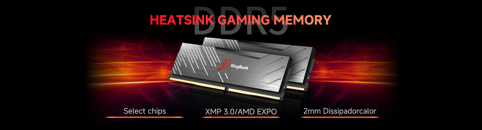 KINGBANK SOARBLADE KRXB DDR5 SERIES