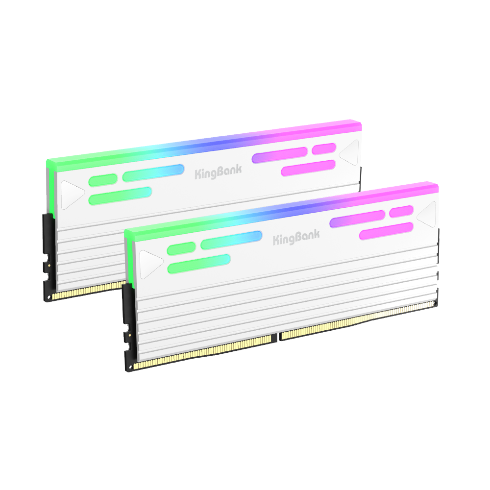 QUANTUM RGB DDR5